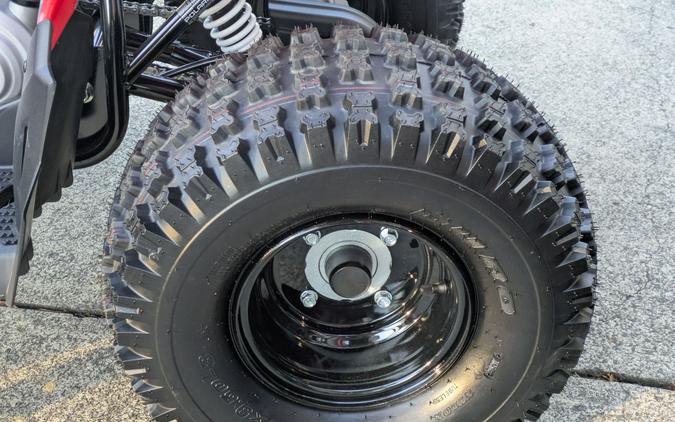 2026 Polaris Outlaw 110 EFI