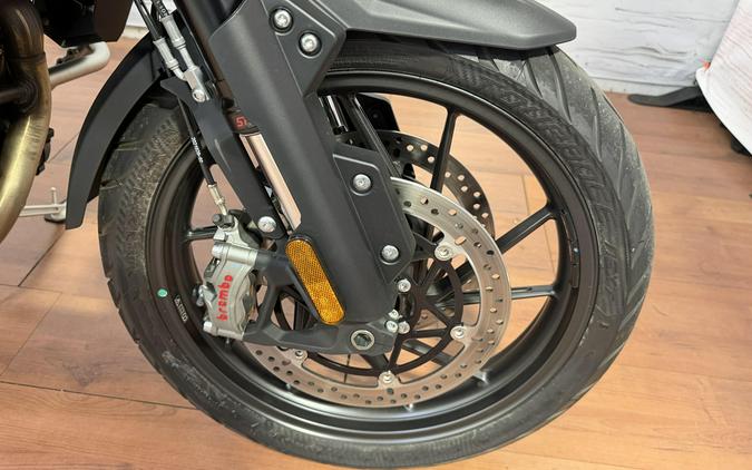 2024 Triumph TIGER GT EXPLORER