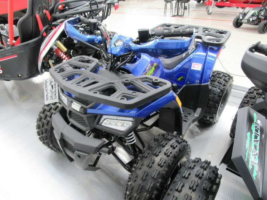 2021 Tao Motor MudHawk 10