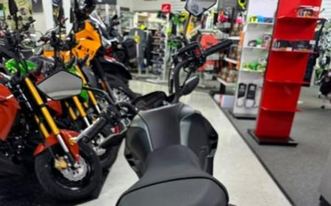 2025 Kawasaki Z125 PRO