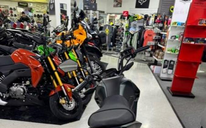 2025 Kawasaki Z125 PRO