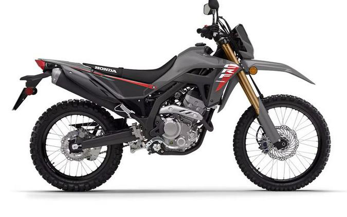 2025 Honda® CRF300LS