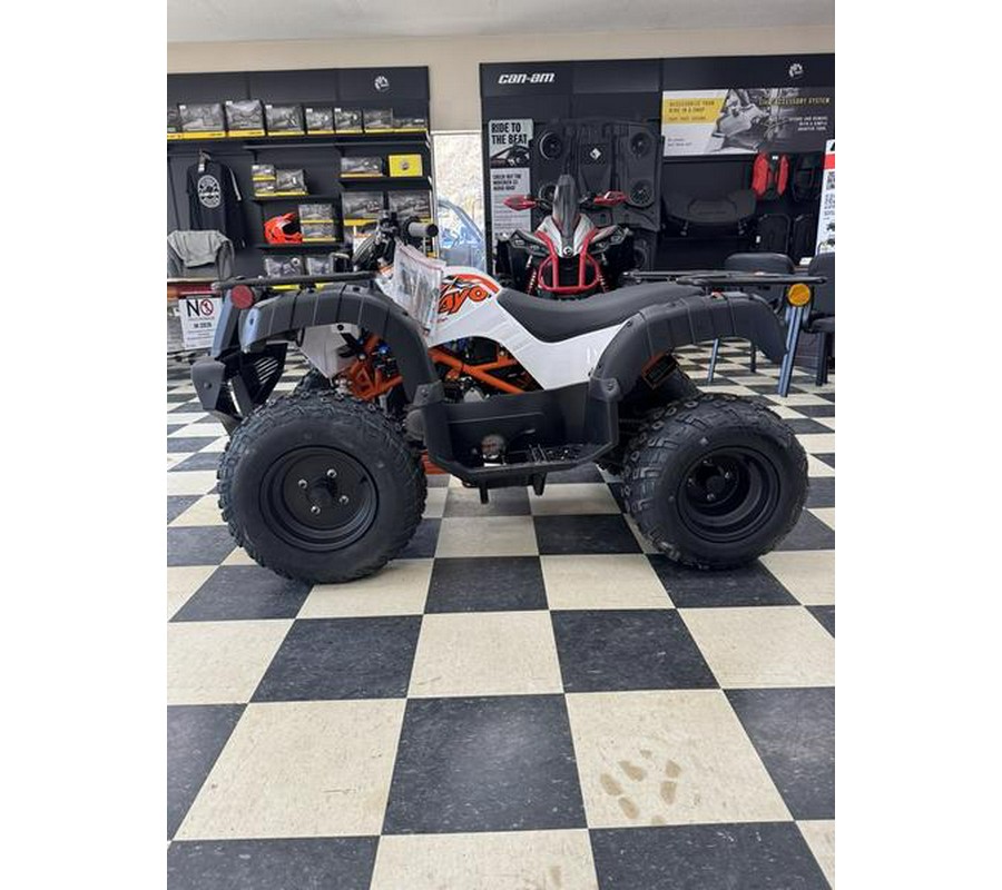 2026 Kayo Bull 150 EFI