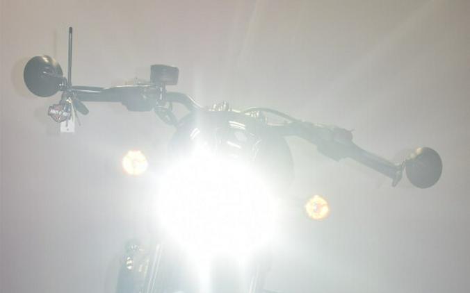 2023 Harley-Davidson Nightster Special RH975S