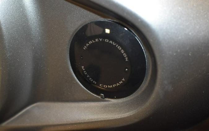 2023 Harley-Davidson Nightster Special RH975S