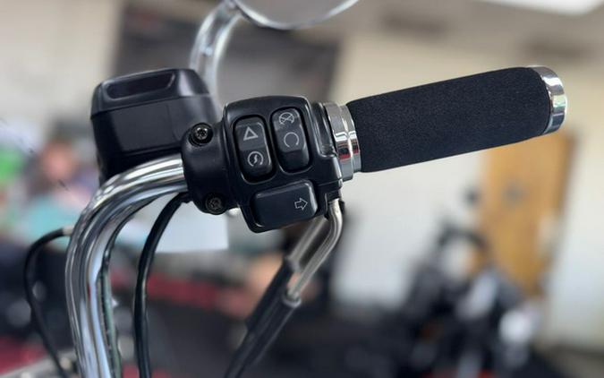 2020 Harley-Davidson XL883N - Sportster Iron 883