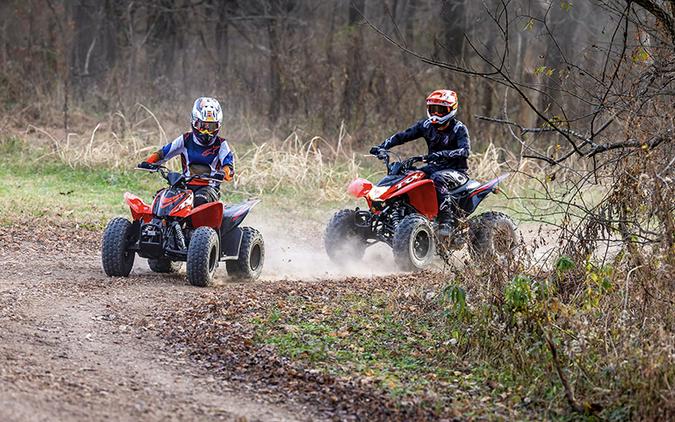 2024 Honda TRX90X