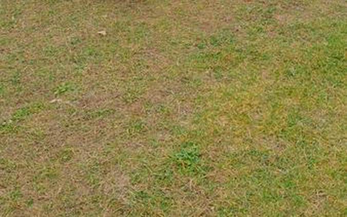 2025 Kawasaki Ridge® XR Crew Limited HVAC