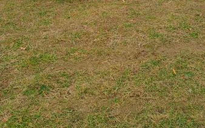 2025 Kawasaki Ridge® XR Crew Limited HVAC