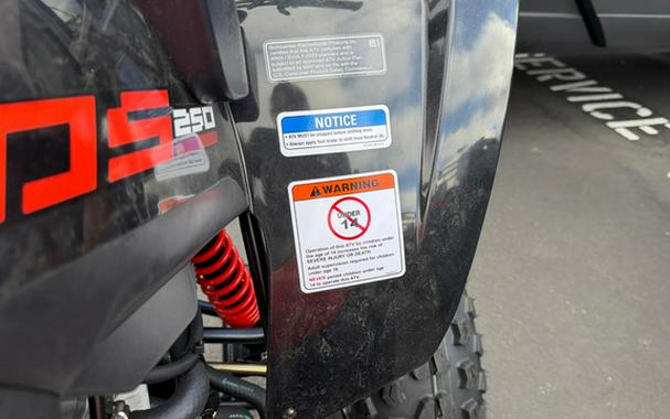2026 Can-AM DS 250