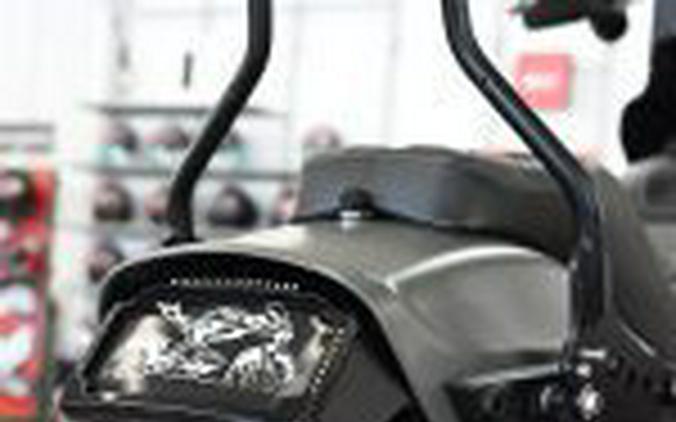 2019 Harley Davidson Fat Bob 114