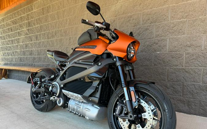 2020 Harley-Davidson Livewire™