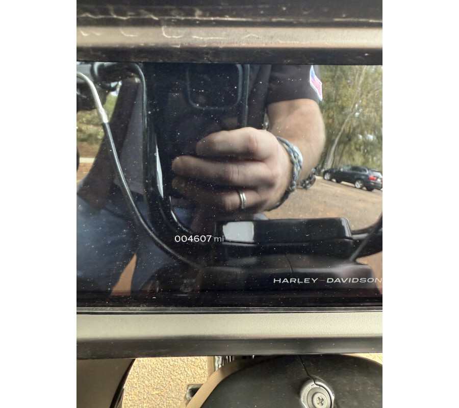 FLTRX 2024 Road Glide®