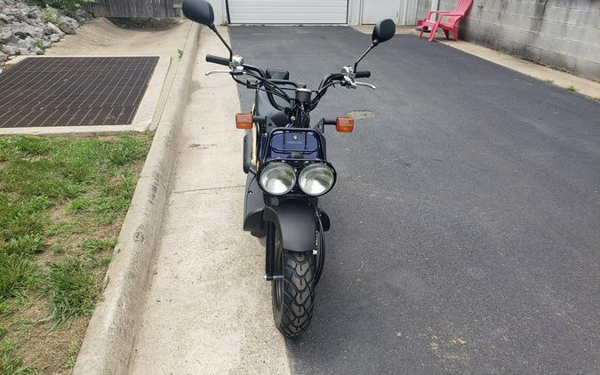 2023 Honda RUCKUS