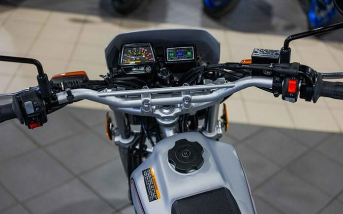 2027 Yamaha TW 200