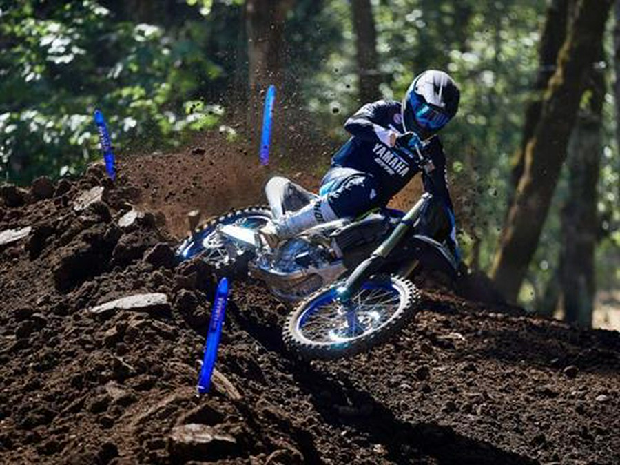 2025 Yamaha YZ450F Monster Energy Edition