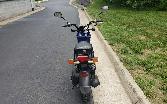 2023 Honda RUCKUS