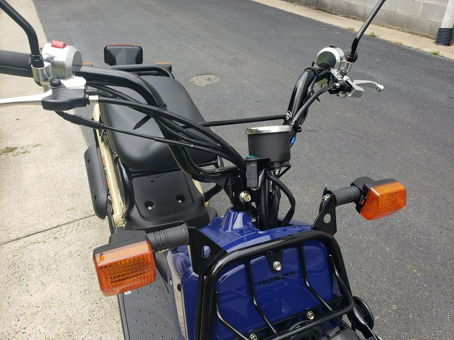 2023 Honda RUCKUS