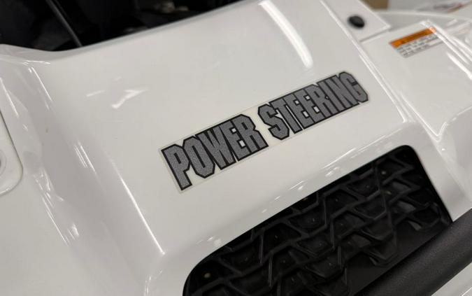2019 Suzuki KINGQUAD 500AXI POWER STEERING
