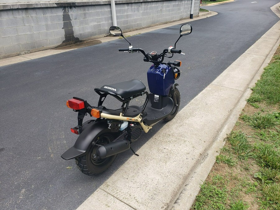 2023 Honda RUCKUS