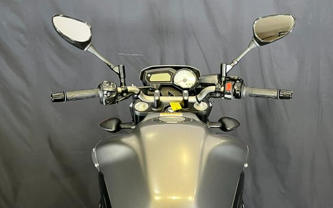 2013 Yamaha Motor Corp., USA FZ8