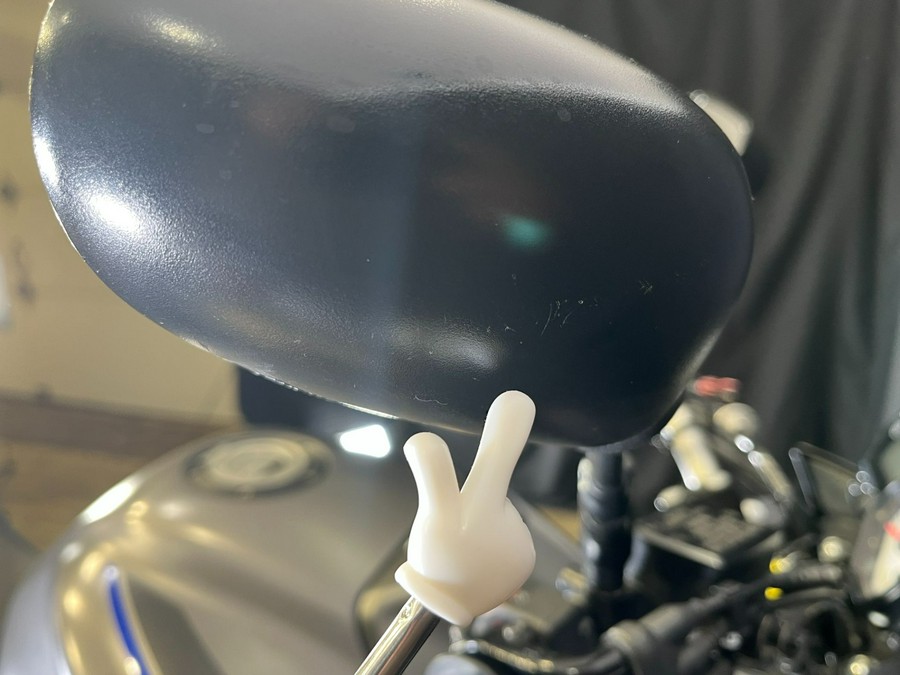 2013 Yamaha Motor Corp., USA FZ8