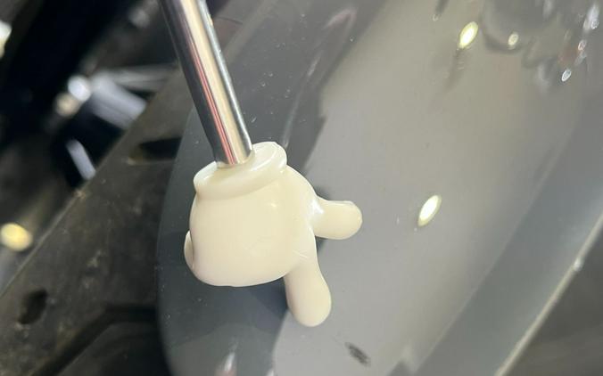 2022 Harley-Davidson Iron 883™