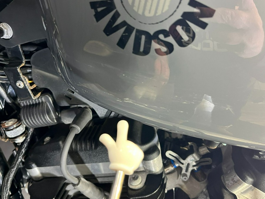 2022 Harley-Davidson Iron 883™