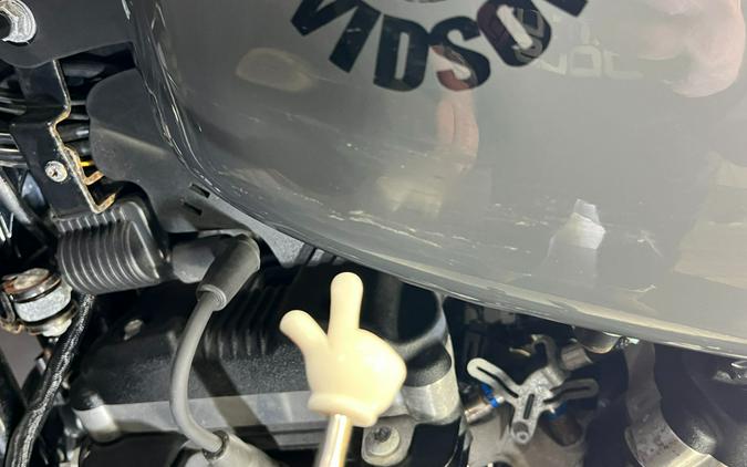 2022 Harley-Davidson Iron 883™