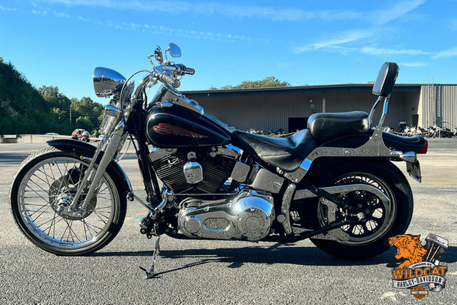 2004 Harley-Davidson Softail FXSTS - Springer