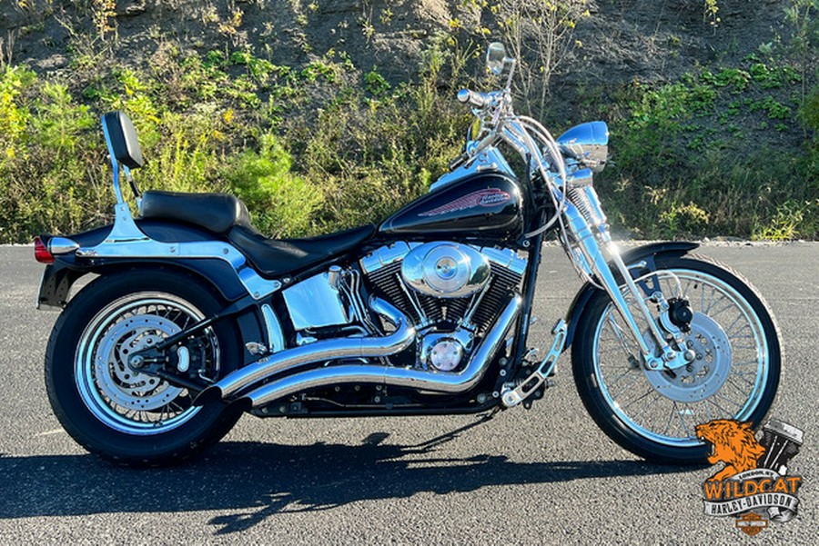 2004 Harley-Davidson Softail FXSTS - Springer