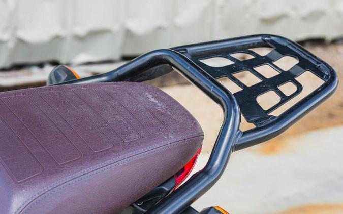 2022 Indian Motorcycle FTR Rally