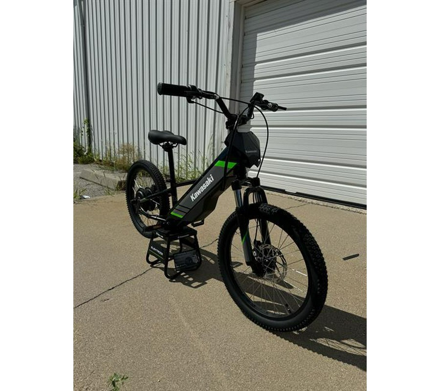 2025 Kawasaki Elektrode 20