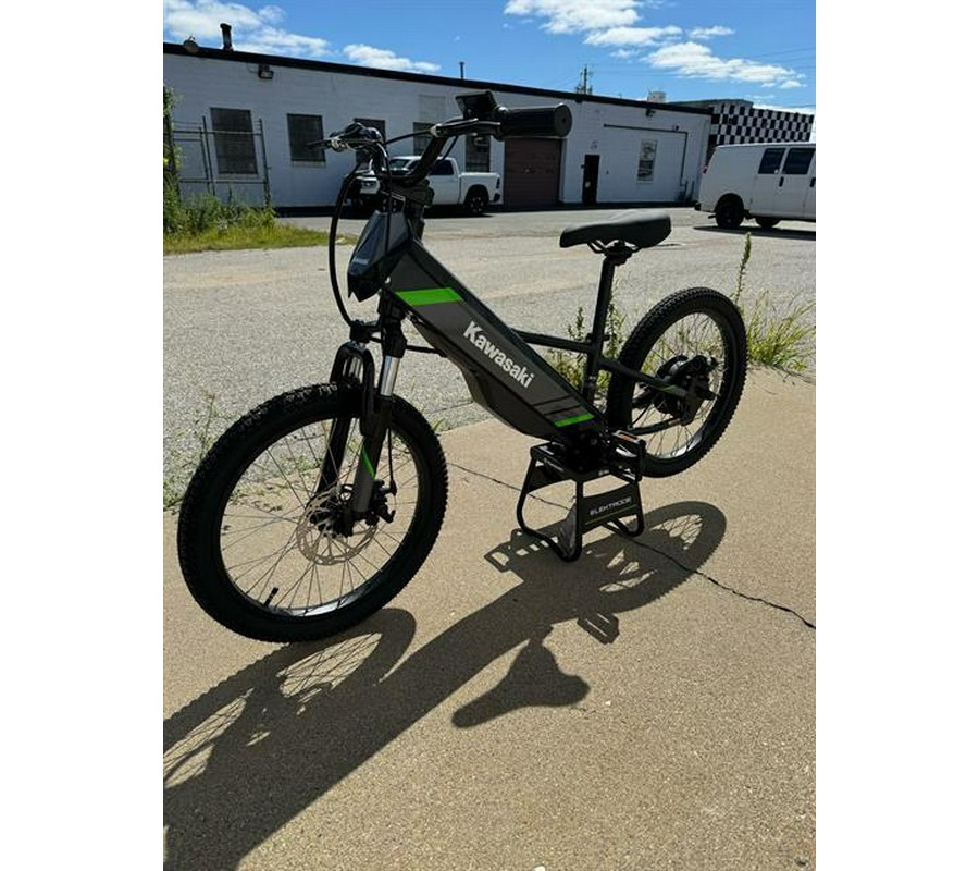 2025 Kawasaki Elektrode 20