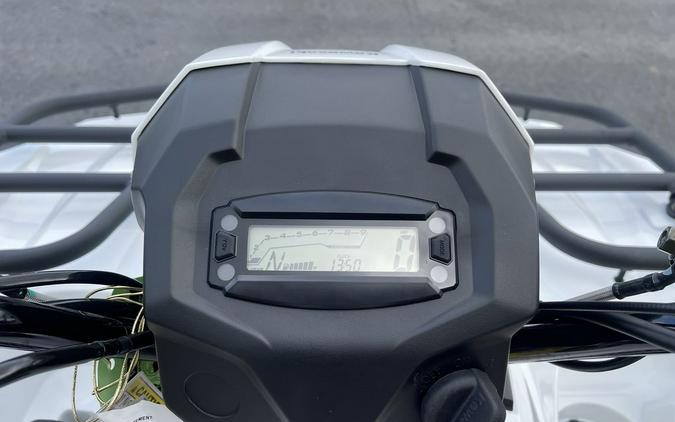 2025 Kawasaki Brute Force® 450 4x4