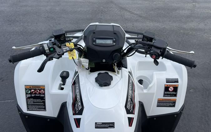 2025 Kawasaki Brute Force® 450 4x4