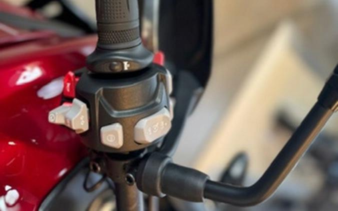 2025 Triumph Tiger 900 GT Pro