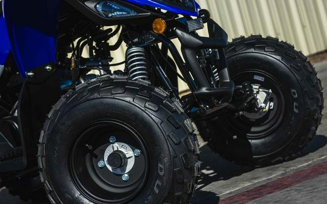 2026 Yamaha Raptor 110