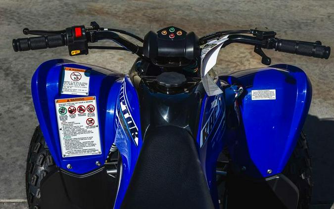 2026 Yamaha Raptor 110