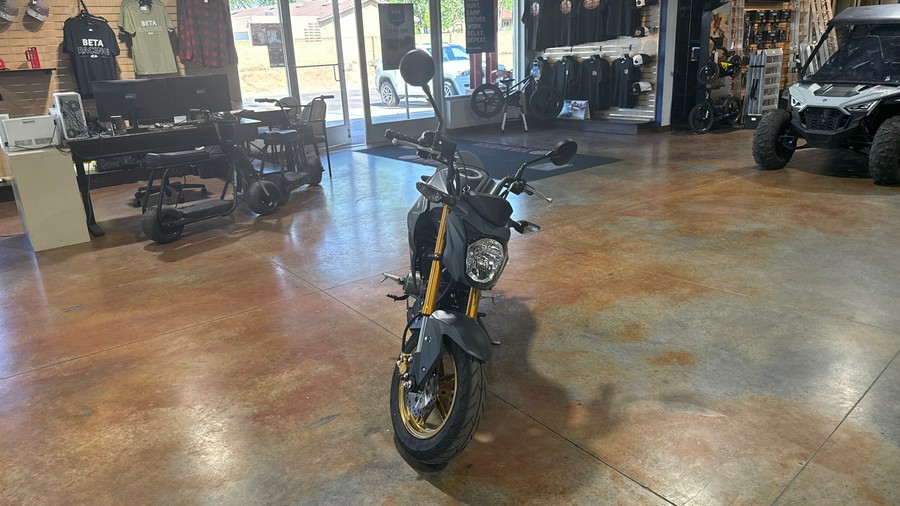 2024 Kawasaki Z125 PRO Base