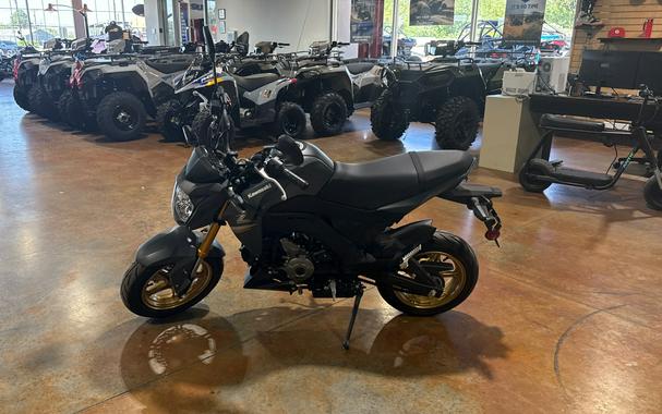 2024 Kawasaki Z125 PRO Base