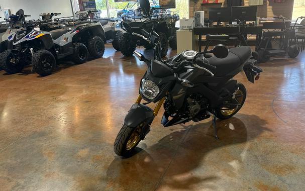 2024 Kawasaki Z125 PRO Base