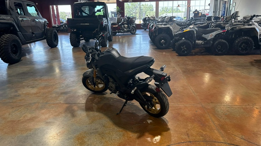 2024 Kawasaki Z125 PRO Base