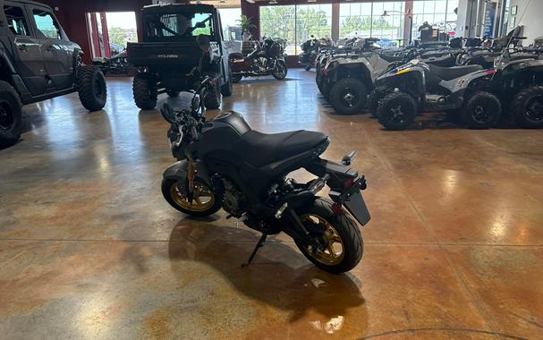 2024 Kawasaki Z125 PRO Base