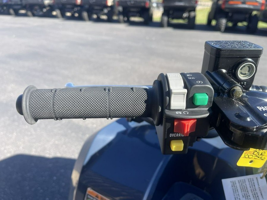 2025 Kawasaki Brute Force® 450 4x4