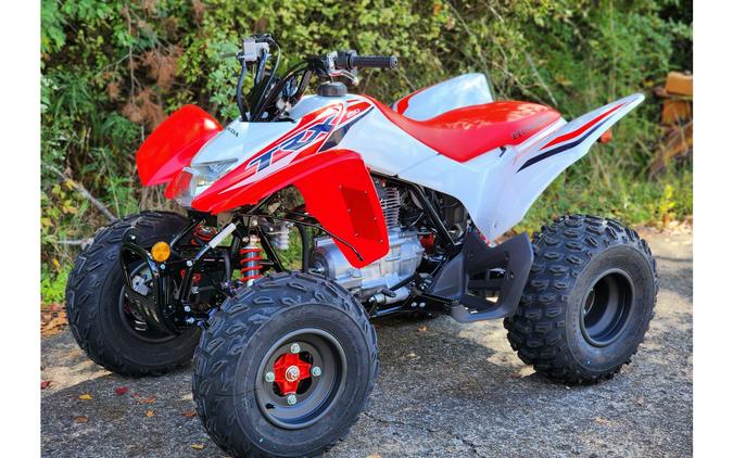 2024 Honda TRX250XR