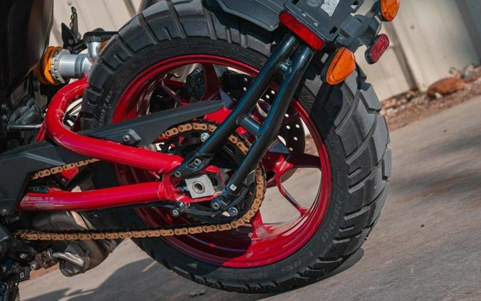 2024 Indian Motorcycle FTR R Carbon