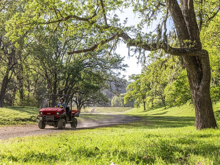 2023 Kawasaki Mule™ 4010 4x4