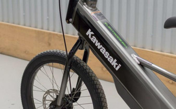 2025 Kawasaki ELEKTRODE 20FS
