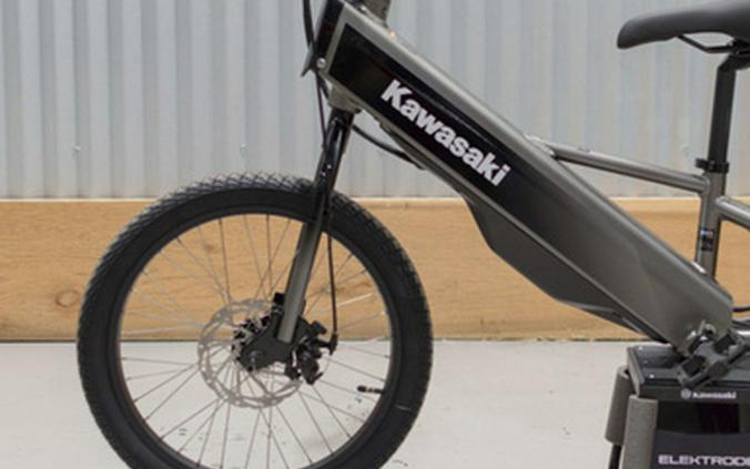 2025 Kawasaki ELEKTRODE 20FS